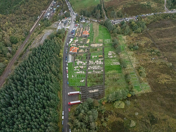 261005 Lairg Sale 121