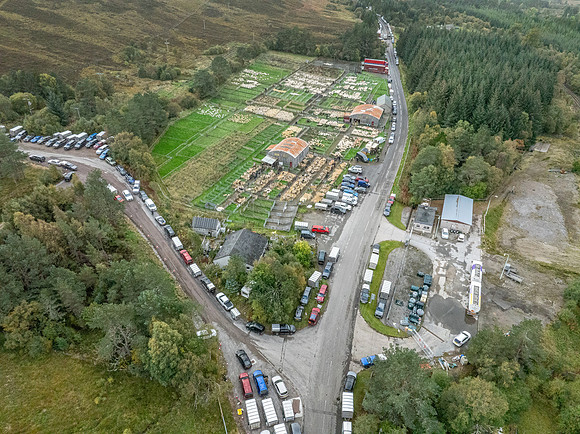 261005 Lairg Sale 140