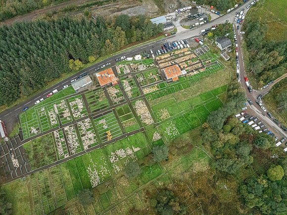 261005 Lairg Sale 116