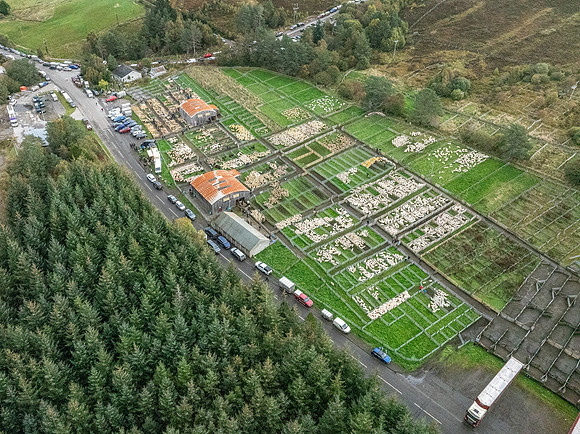 261005 Lairg Sale 129