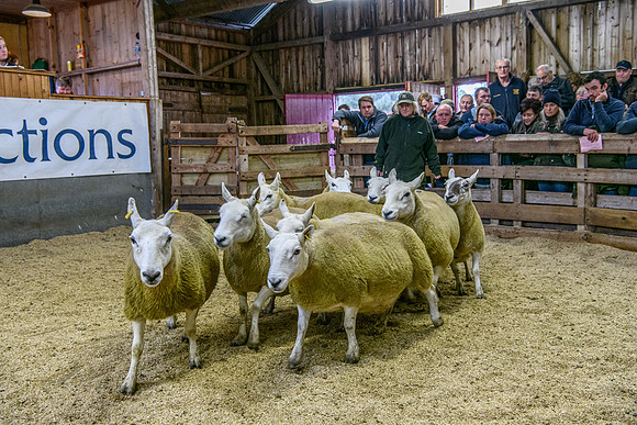 261005 Lairg Sale 072