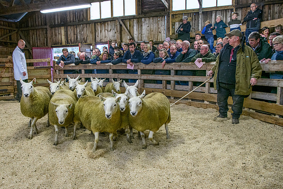 261005 Lairg Sale 044