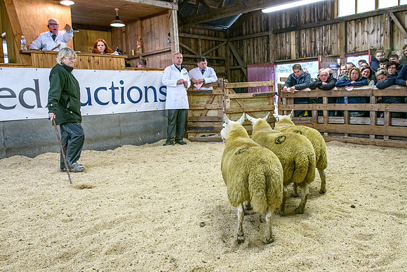 261005 Lairg Sale 030