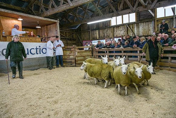 261005 Lairg Sale 056