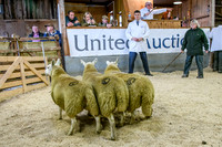 261005 Lairg Sale 014