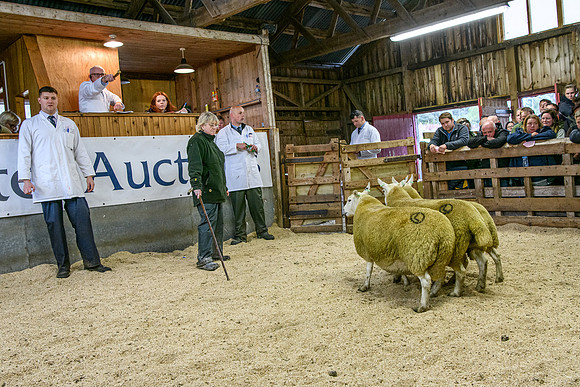 261005 Lairg Sale 021