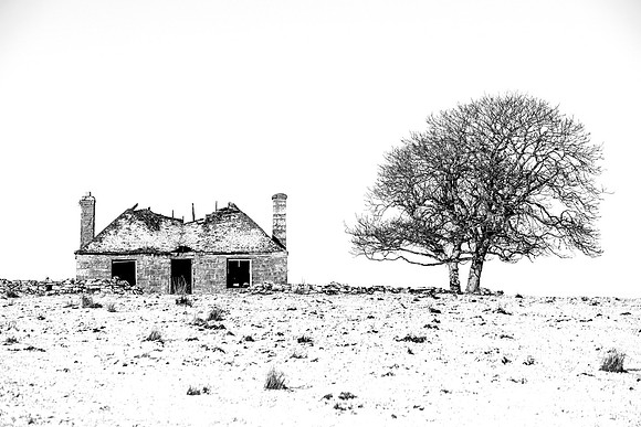 210122 Quoys 003