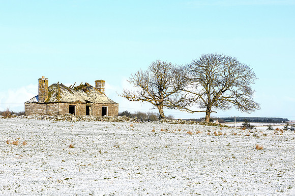 210122 Quoys 001