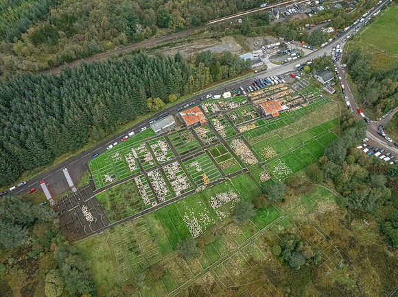 261005 Lairg Sale 117