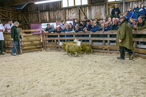 261005 Lairg Sale 026