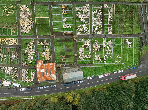 261005 Lairg Sale 103