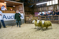 261005 Lairg Sale 020
