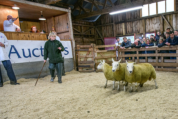 261005 Lairg Sale 020