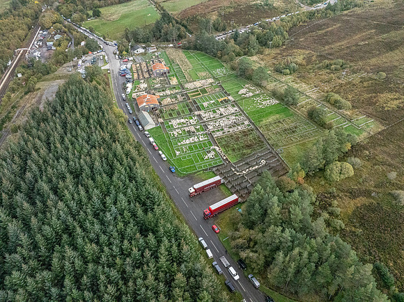261005 Lairg Sale 125