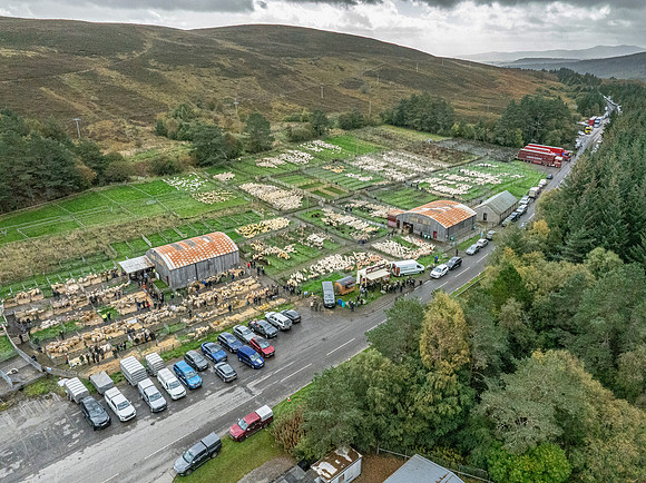 261005 Lairg Sale 094