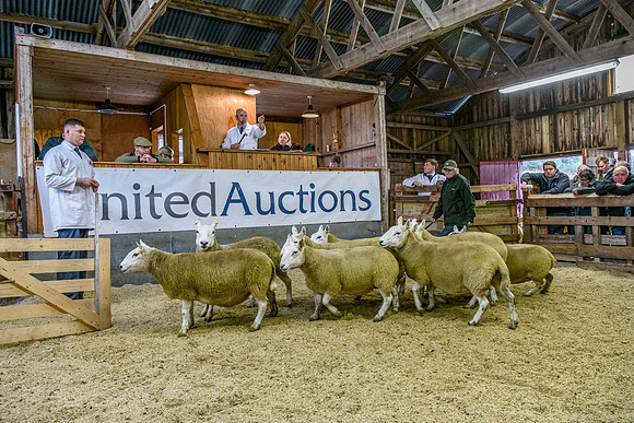 261005 Lairg Sale 074