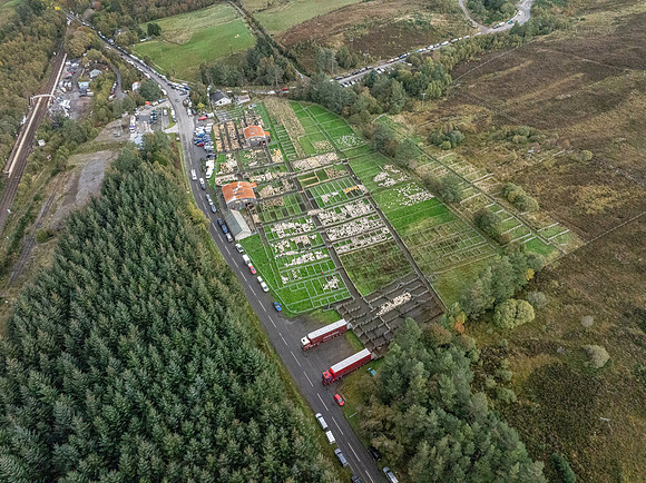 261005 Lairg Sale 123