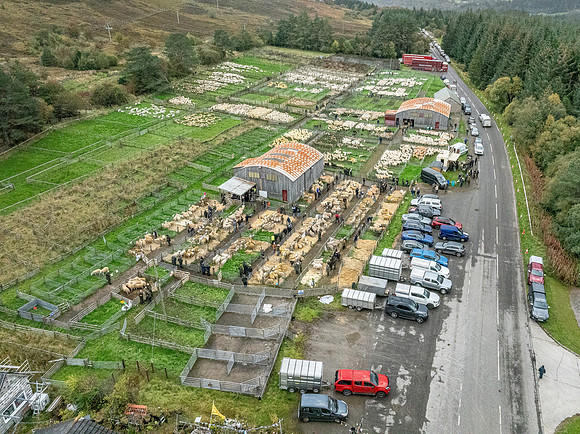 261005 Lairg Sale 085
