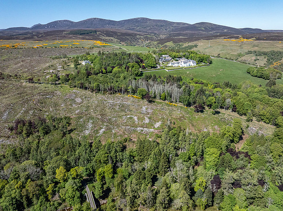 250520 Berriedale (4)