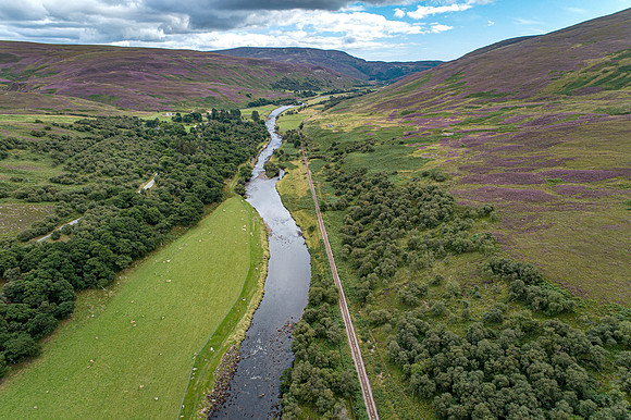 240820 Torrish 120