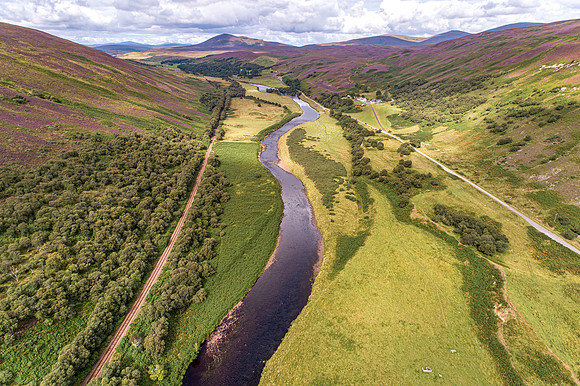 240820 Torrish 025