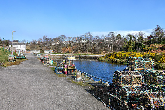 220330 Brora Harbour 010