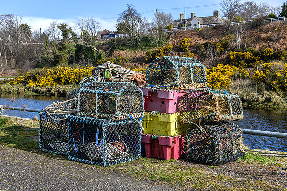 220330 Brora Harbour 012