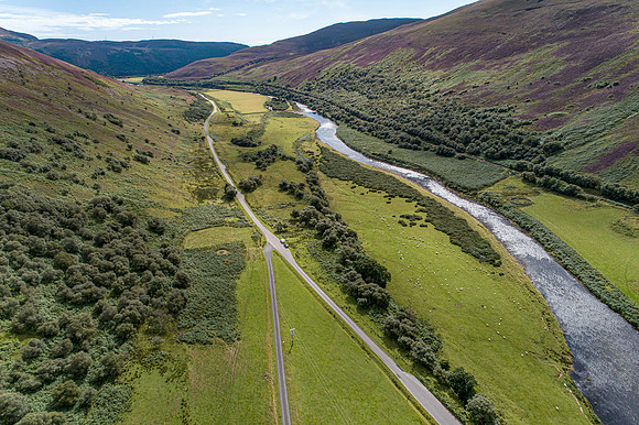 240820 Torrish 090