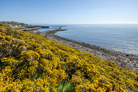250407 Helmsdale 045