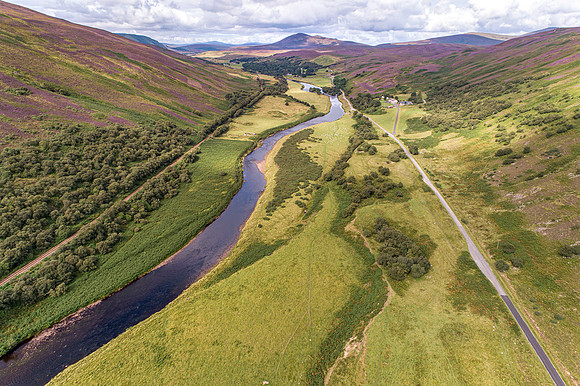 240820 Torrish 026
