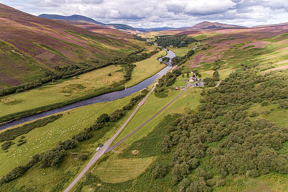 240820 Torrish 060