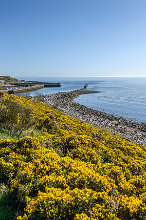 250407 Helmsdale 043