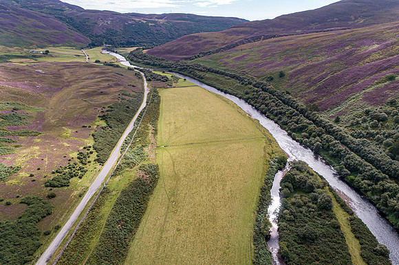 240820 Torrish 021