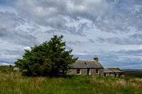 210620 Croft 003