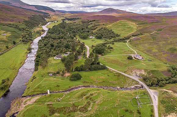 240820 Torrish 099