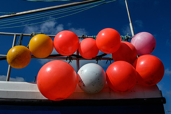 210622 Scrabster Harbour 013