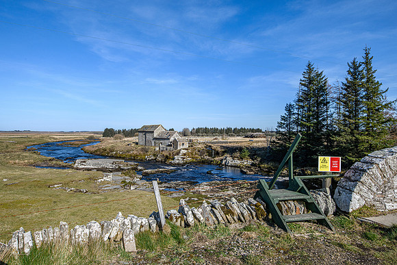 220319 Westerdale 001