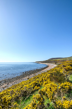 250407 Helmsdale 050