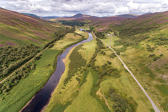 240820 Torrish 028