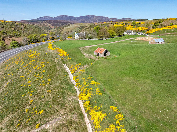 250509 Berriedale 049