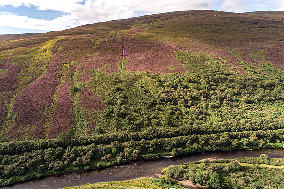 240820 Torrish 012