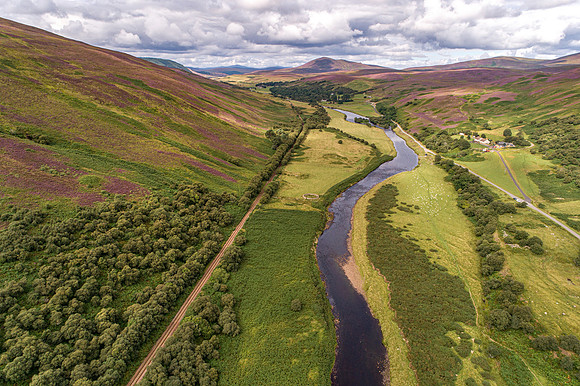 240820 Torrish 049