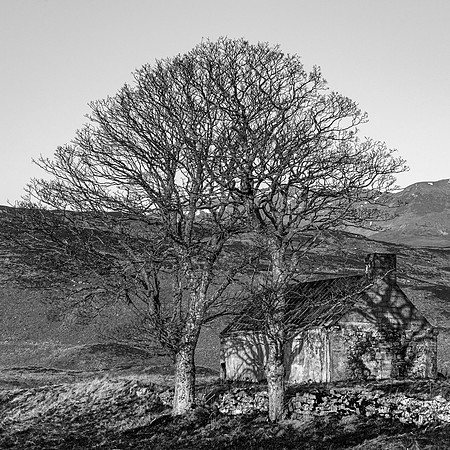 220321 Loch Loyal and Lettermore 014 (1)