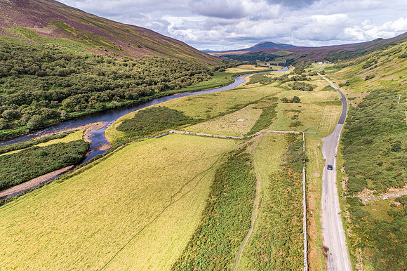 240820 Torrish 016