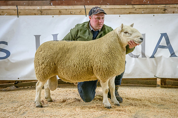 231002 Lairg - Inkstack - £11000