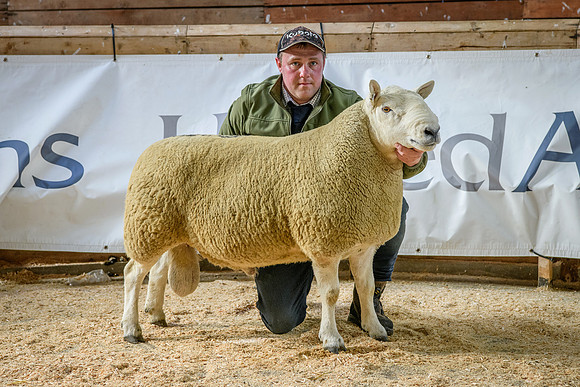 231002 Lairg - Inkstack - £11000 #4