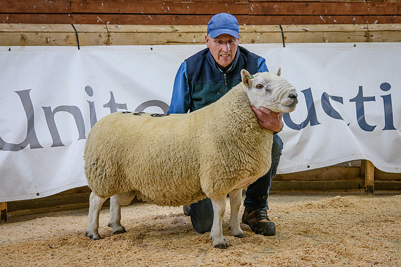 231002 Lairg - W Robertson Borgie - £5200 #2