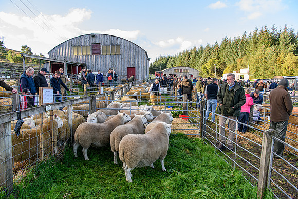 231002 Lairg006