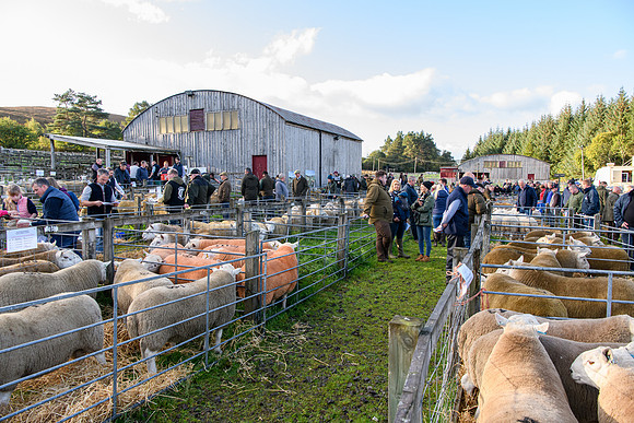 231002 Lairg009