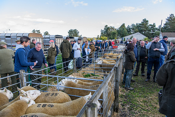 231002 Lairg011